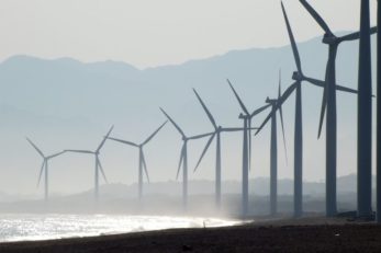 Erneuerbare Energieträger sollen die Umwelt nachhaltig schützen