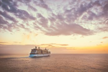 Mit den richtigen Leuten kann man auch auf einer Kreuzfahrt Partyurlaub machen