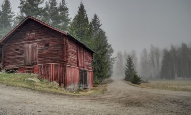 Schwedische Krimis: auf den Spuren des Scandi-Noir