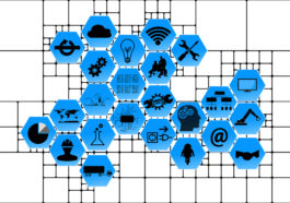 Schematische Darstellung einer IT-Revision